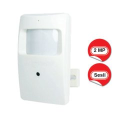 2 MEGAPİXEL PIR GÖRÜNÜMLÜ ÖZEL KAMERA